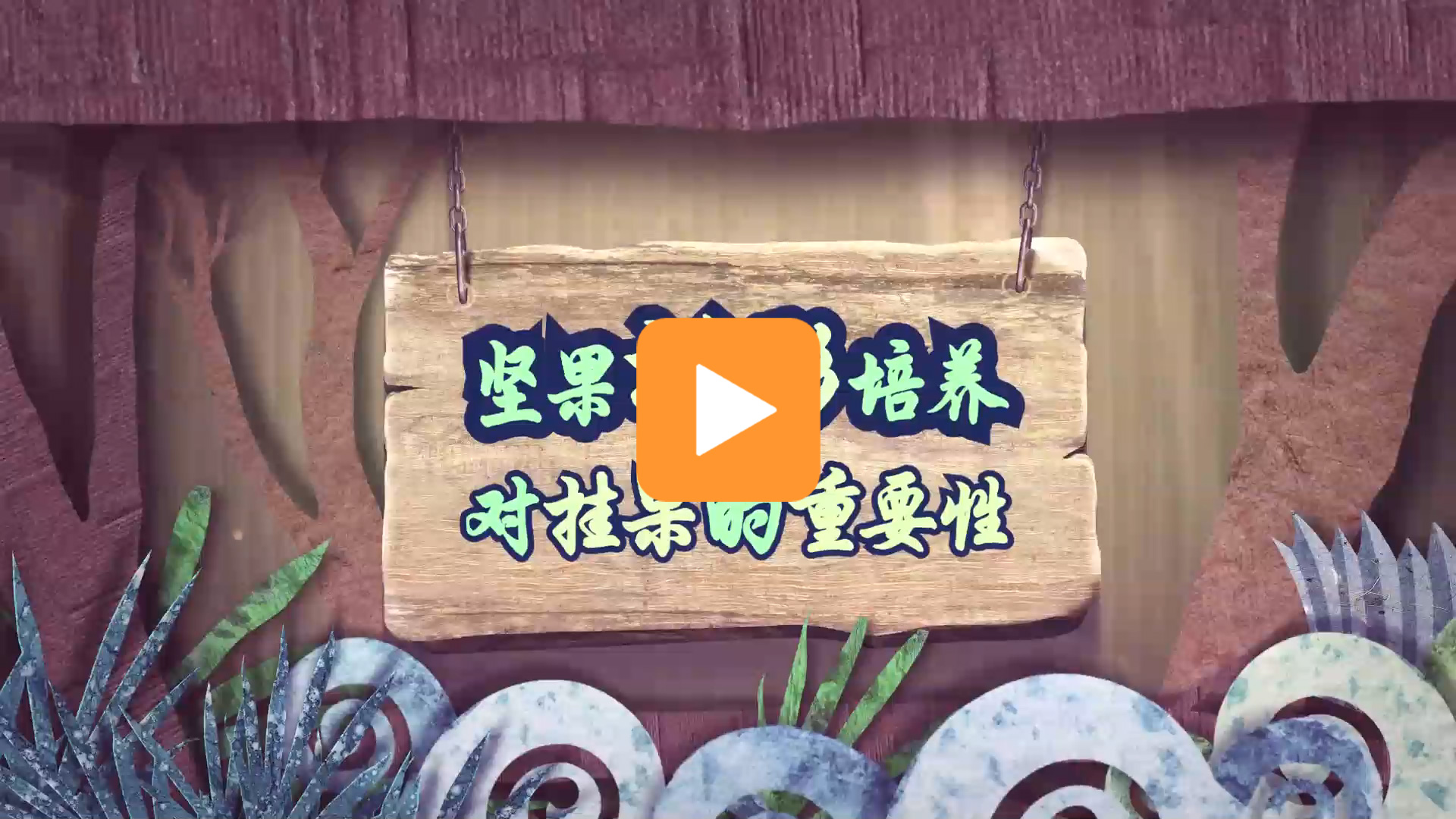 龙州坚果微课堂