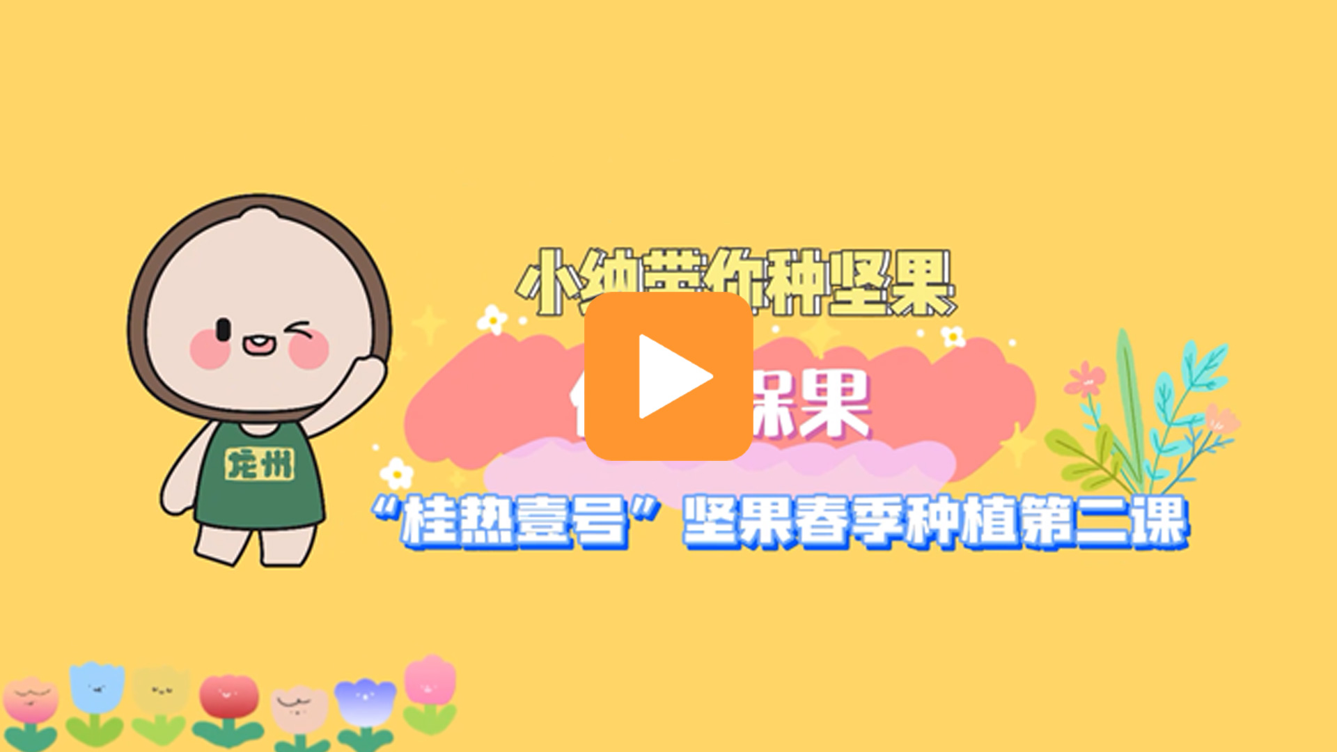 龙州坚果微课堂