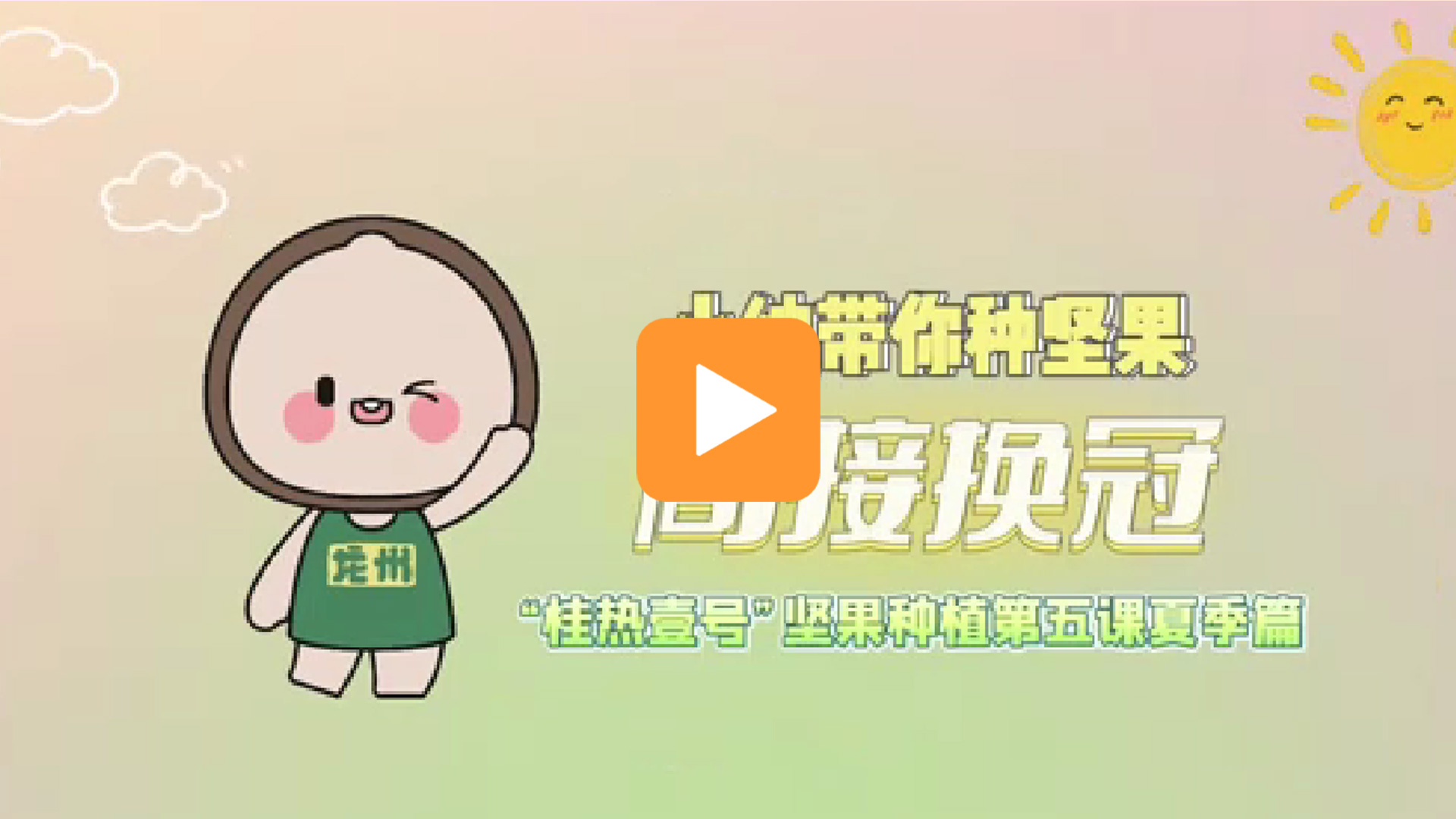 龙州坚果微课堂