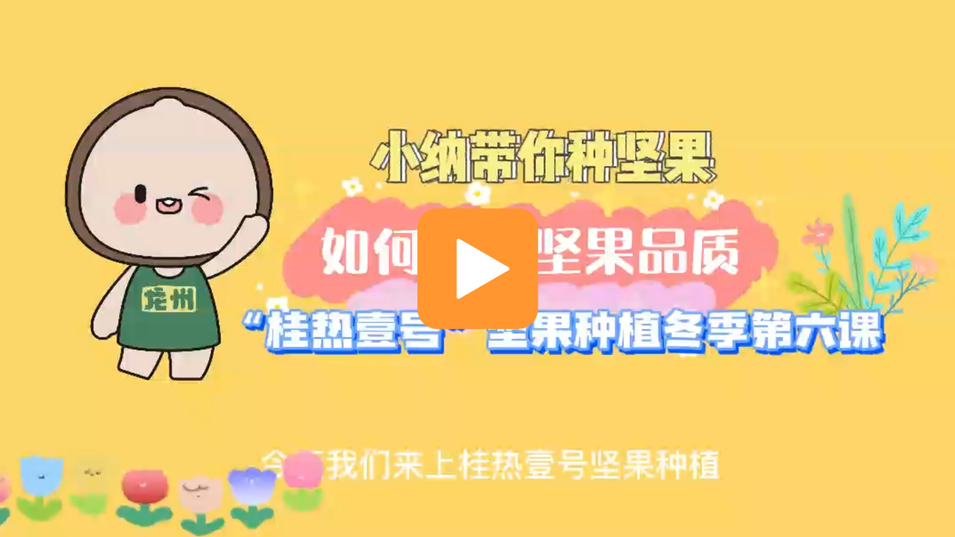 龙州坚果微课堂
