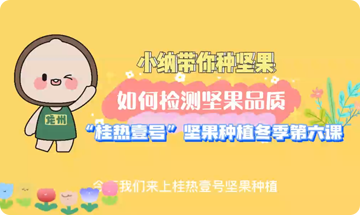 桂热壹号坚果冬季种植第六课【如何检测坚果品质】